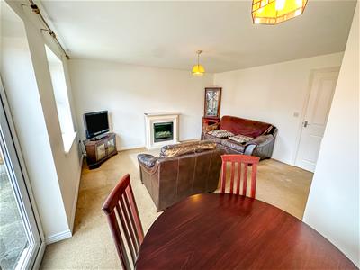 Picture 7